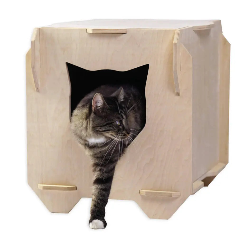 Tuuli Animali Casetta gatto legno betulla 51 cm riposo