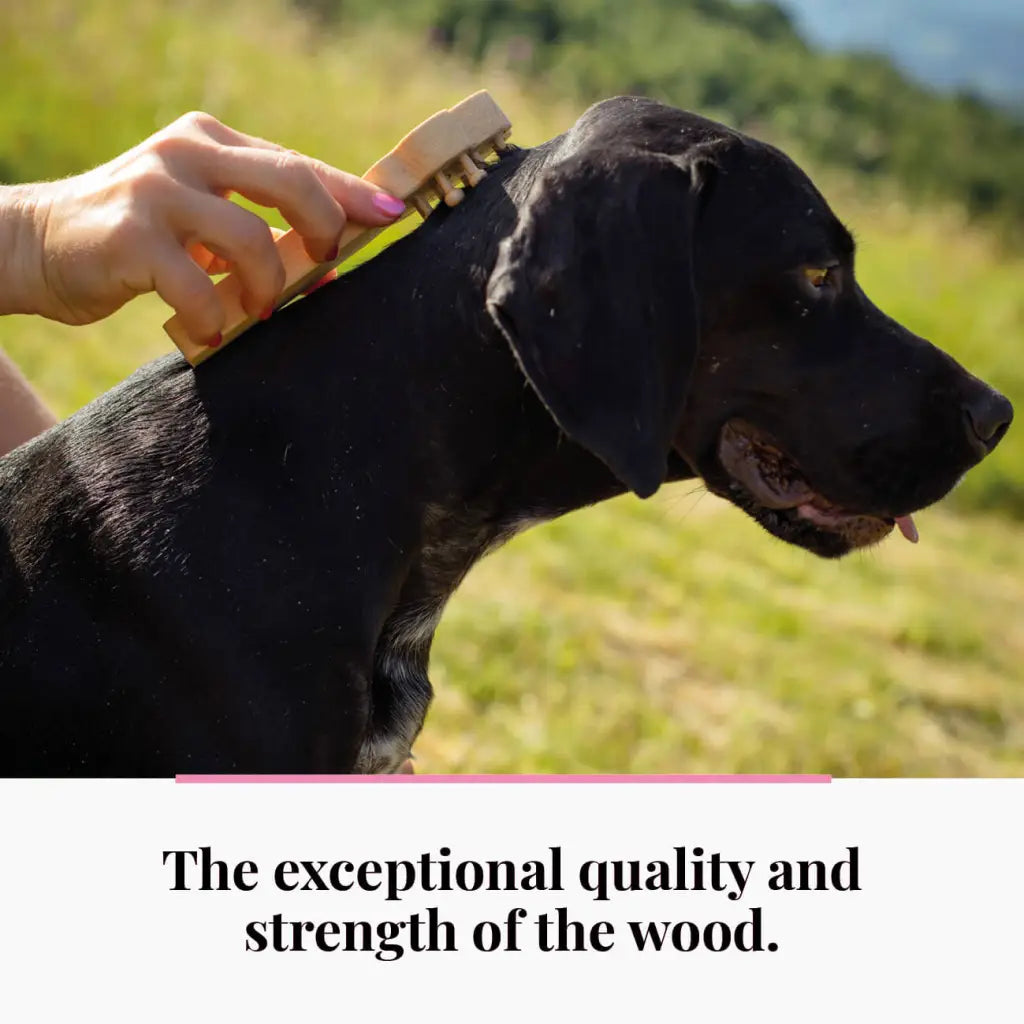 Tuuli spazzola massaggio animali legno di faggio standard