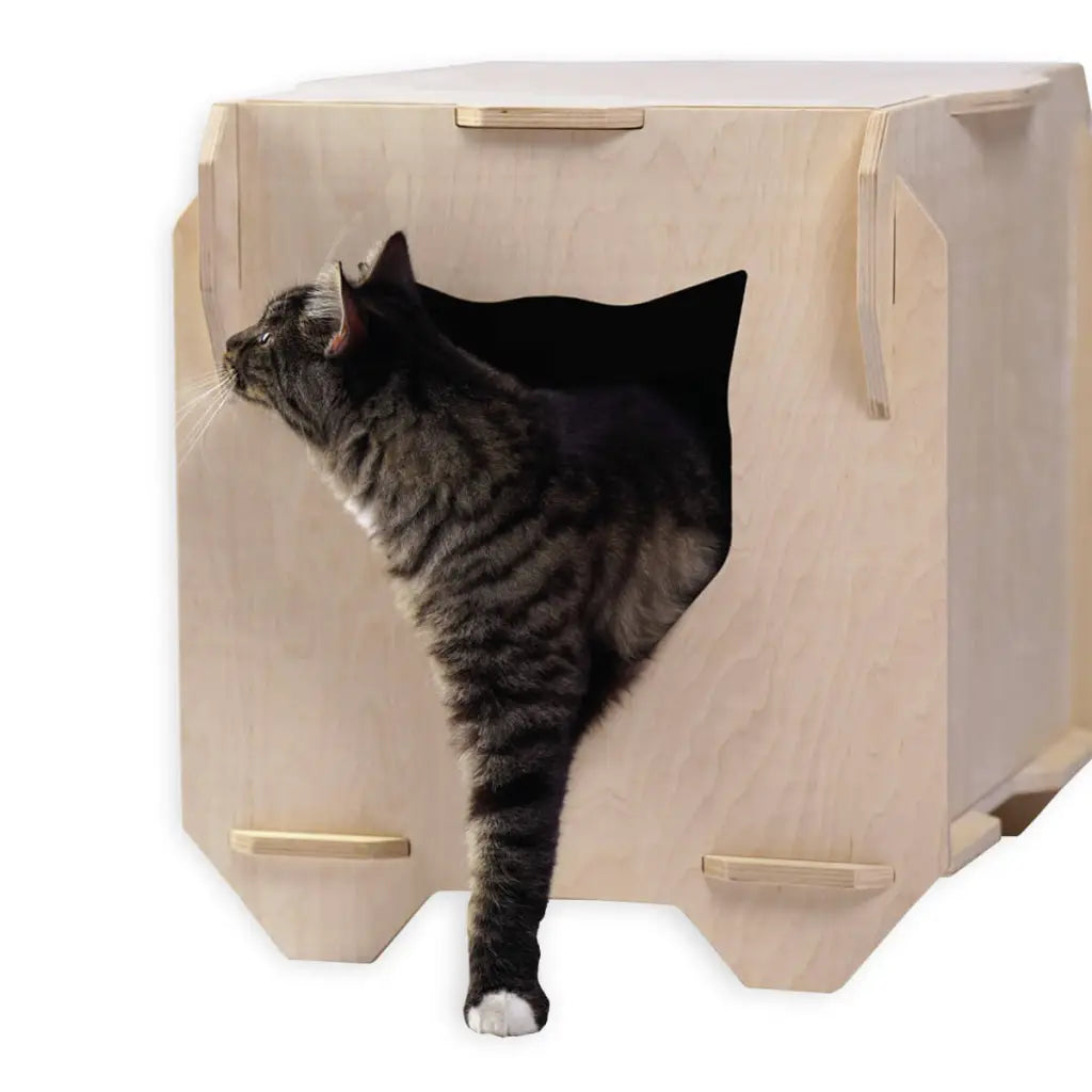 Tuuli Animali Casetta gatto legno betulla 51 cm riposo